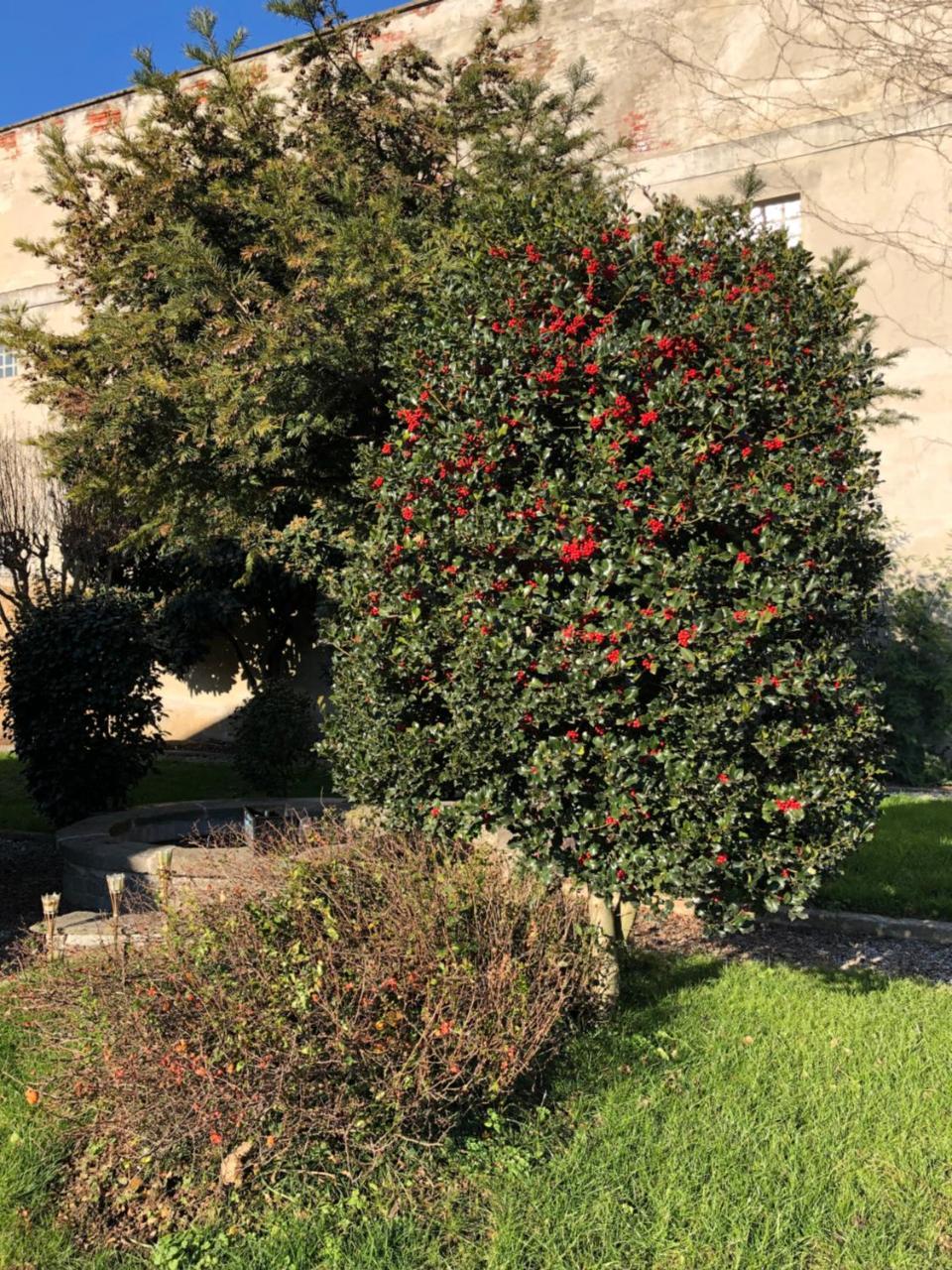 L'Ago Nel Pagliaio Apartment Turbigo Luaran gambar