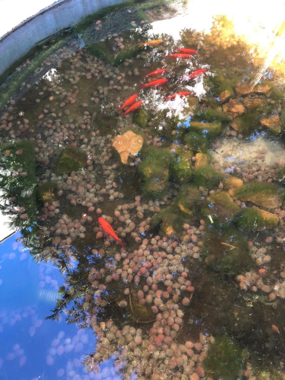 L'Ago Nel Pagliaio Apartment Turbigo Luaran gambar